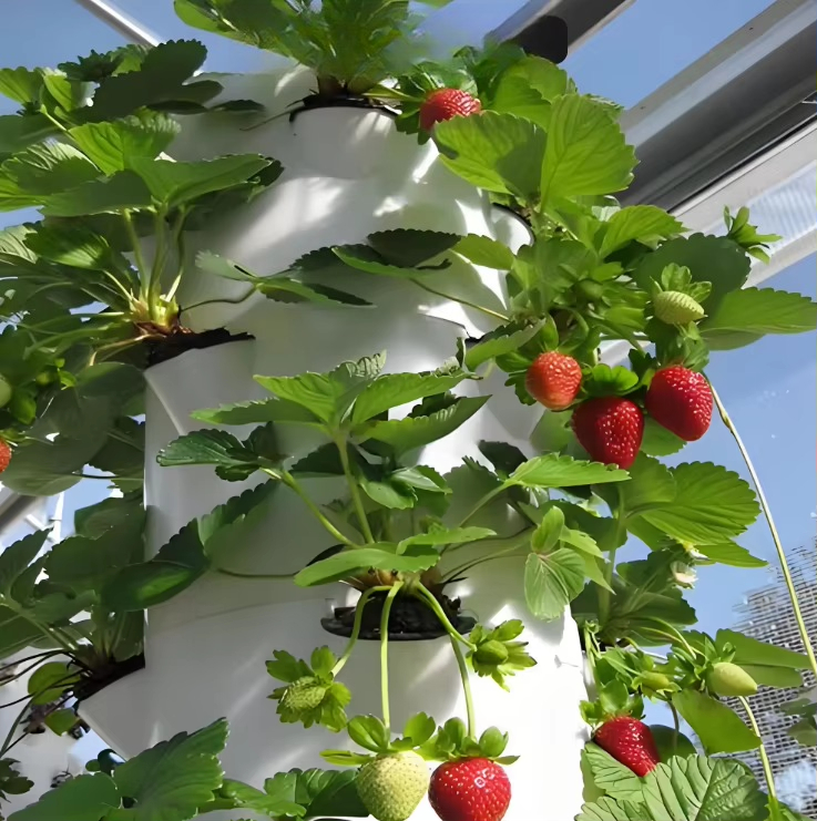 Modular hydroponic growth wall – Urban Farming Hydroponic System recenzja i cena