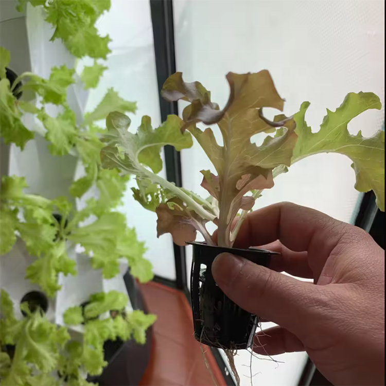 Modular hydroponic growth wall – Urban Farming Hydroponic System recenzja i cena