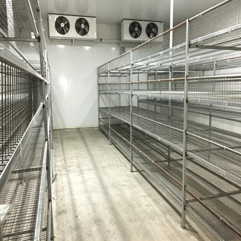 Hydroponic Container Farm with – Urban Farming Hydroponic System recenzja i cena