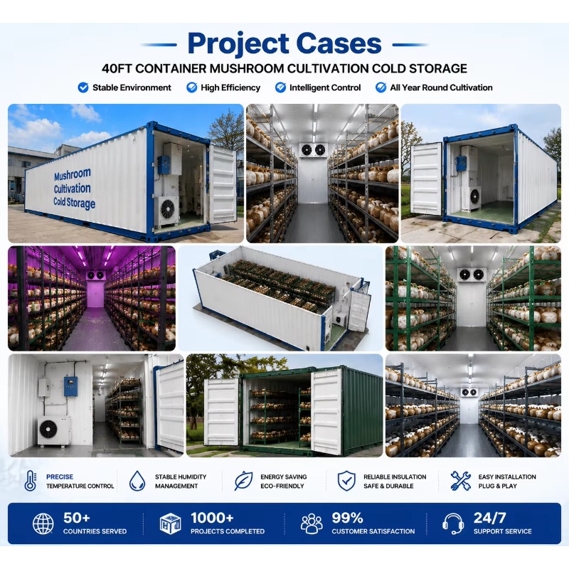 Hydroponic Container Farm with – Urban Farming Hydroponic System recenzja i cena